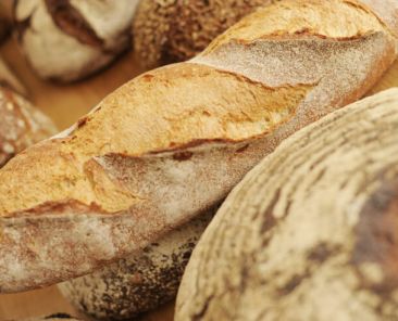 f2m-bub-KW16-Zentralverband_Brot