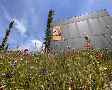 f2m-bub-KW15-Oelz_der_Meisterbaecker