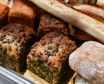 f2m-bub-01-26-Hygiene-Brote