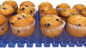 f2m-bub-03-35-Fördertechnik-Muffins