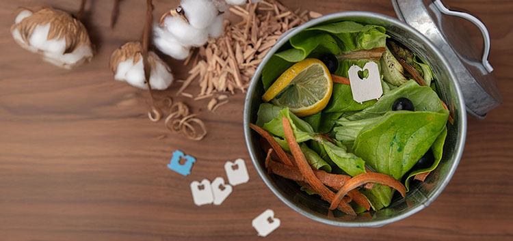 f2m-bub-04-25-Interview-Produktbild