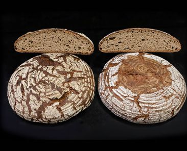 f2m-bub-2022-01-Sauerteig-Roggenbrot