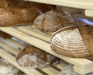 f2m-bub-KW44-LfL_Brot