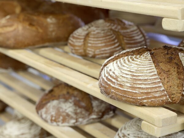 f2m-bub-KW44-LfL_Brot