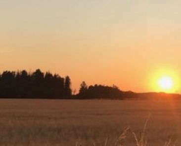 f2m-bub-KW7-Lantmaennen