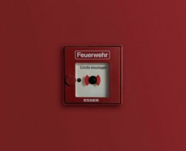 f2m-bub-KW02-pexels_David_Gierth