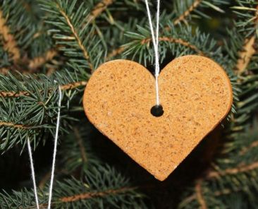 f2m-bub-KW47-pixabay_Alicja